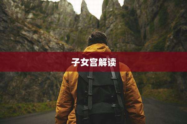 子女宫解读