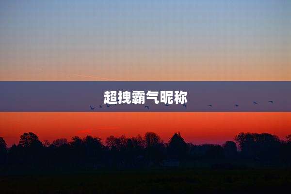 超拽霸气昵称