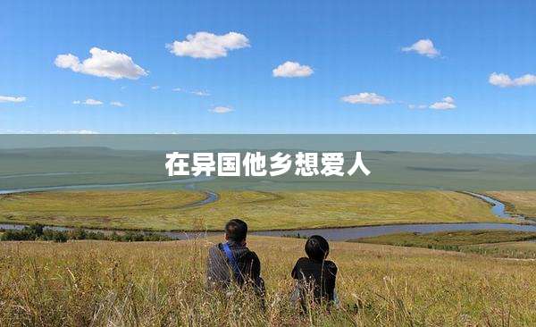 在异国他乡想爱人