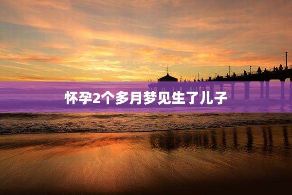 怀孕2个多月梦见生了儿子