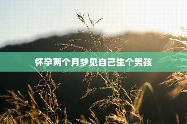 怀孕两个月梦见自己生个男孩