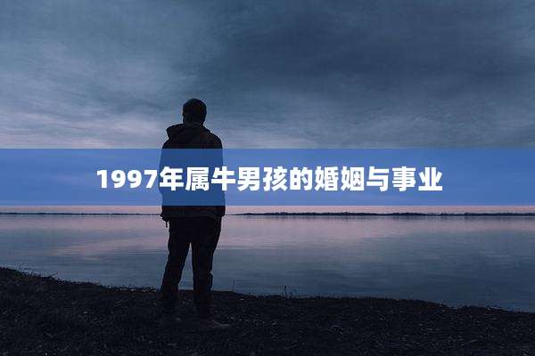 1997年属牛男孩的婚姻与事业