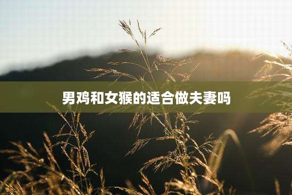 男鸡和女猴的适合做夫妻吗