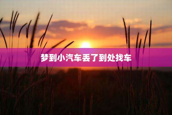 梦到小汽车丢了到处找车
