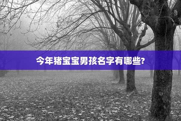 今年猪宝宝男孩名字有哪些?
