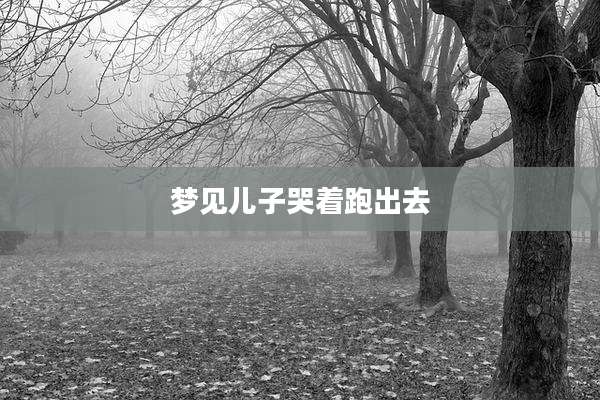 梦见儿子哭着跑出去