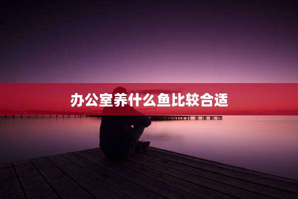 办公室养什么鱼比较合适