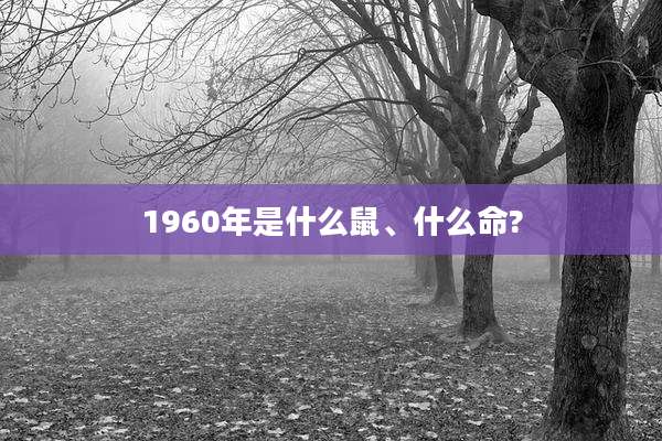 1960年是什么鼠、什么命?