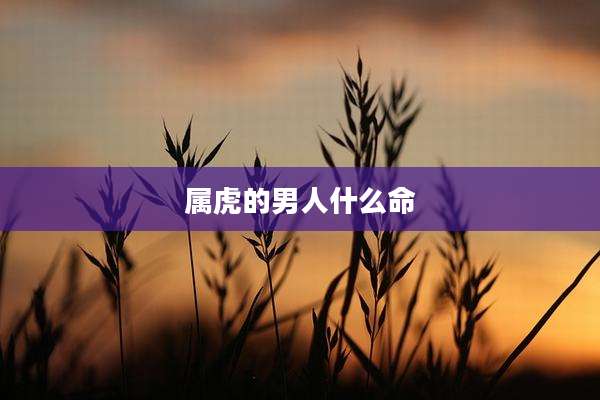 属虎的男人什么命