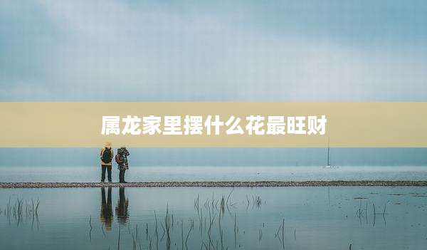 属龙家里摆什么花最旺财