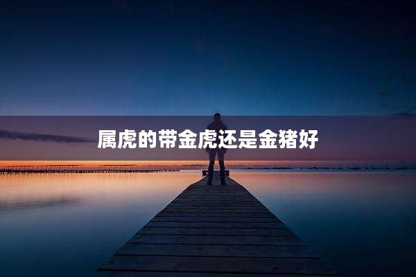属虎的带金虎还是金猪好
