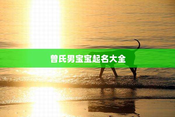 曾氏男宝宝起名大全