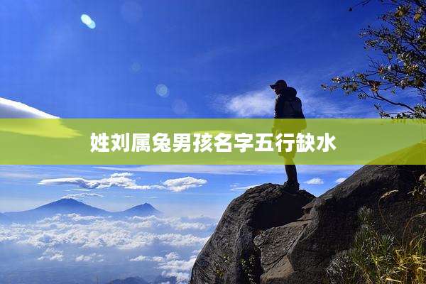 姓刘属兔男孩名字五行缺水