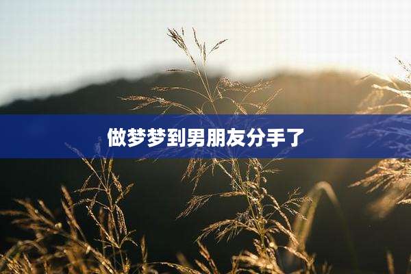 做梦梦到男朋友分手了