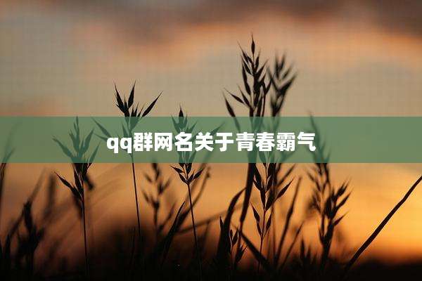 qq群网名关于青春霸气