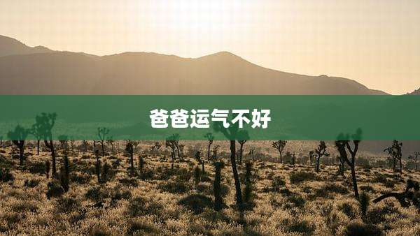 爸爸运气不好
