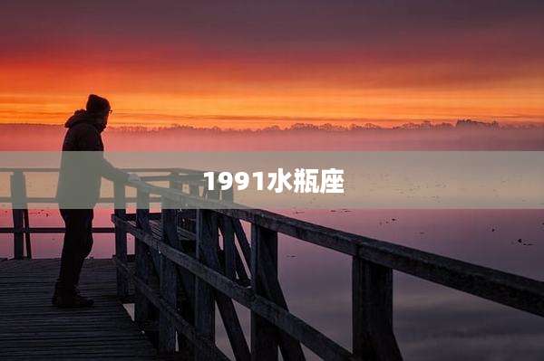 1991水瓶座