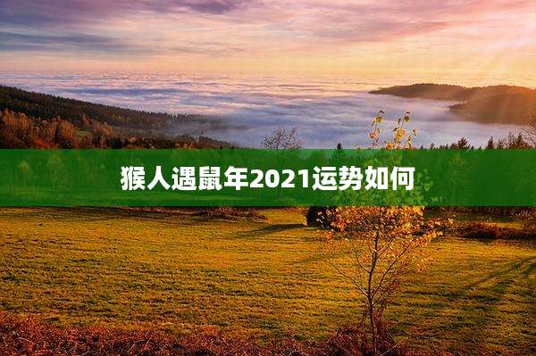 猴人遇鼠年2021运势如何