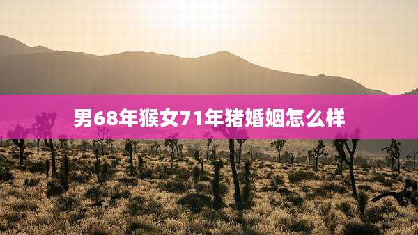 男68年猴女71年猪婚姻怎么样
