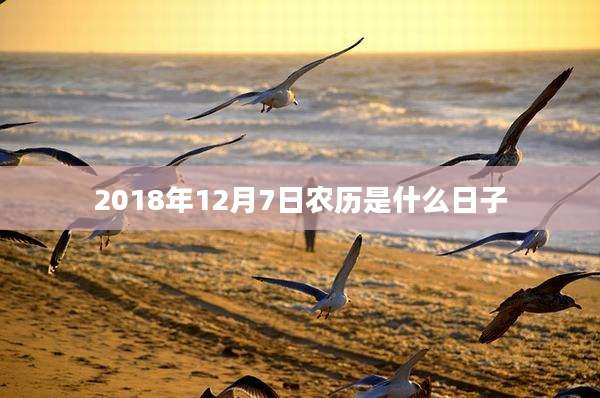 2018年12月7日农历是什么日子
