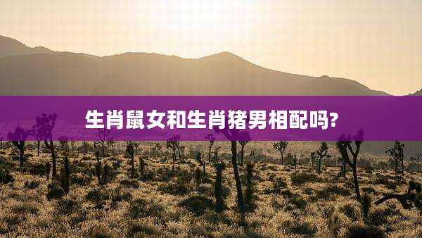生肖鼠女和生肖猪男相配吗?
