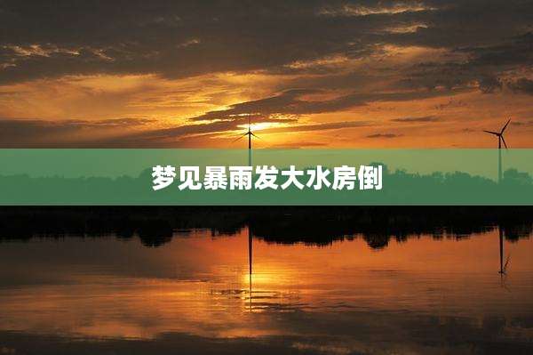 梦见暴雨发大水房倒