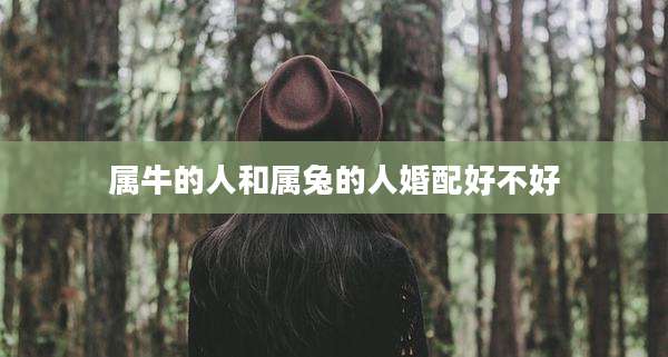 属牛的人和属兔的人婚配好不好