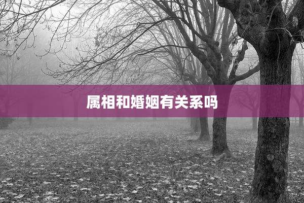 属相和婚姻有关系吗