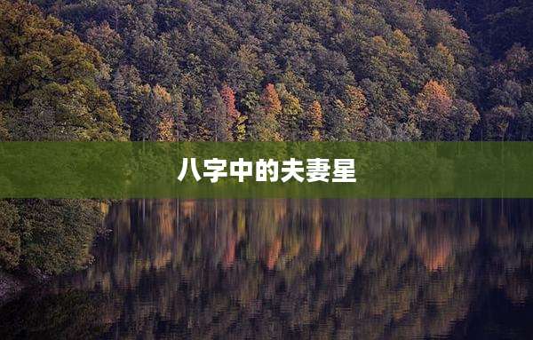 八字中的夫妻星