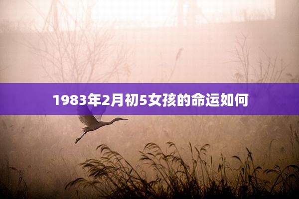 1983年2月初5女孩的命运如何