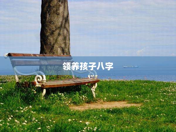 领养孩子八字