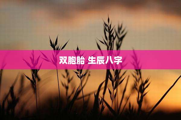 双胞胎 生辰八字