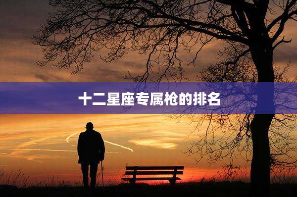 十二星座专属枪的排名