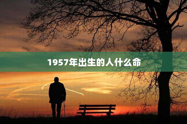 1957年出生的人什么命