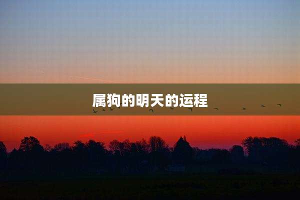 属狗的明天的运程