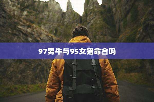 97男牛与95女猪命合吗