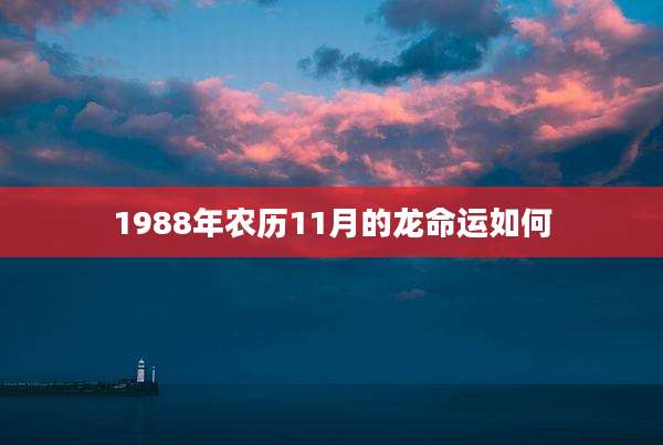 1988年农历11月的龙命运如何