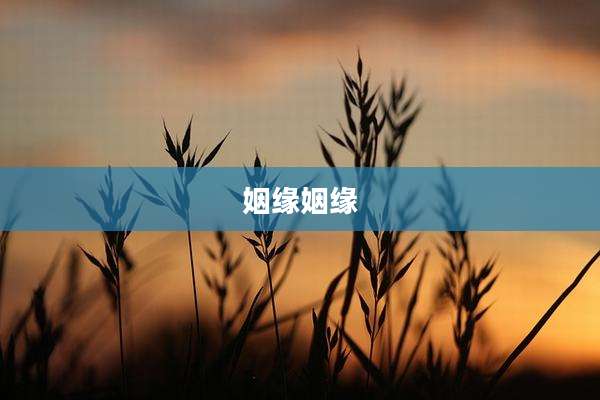 姻缘姻缘