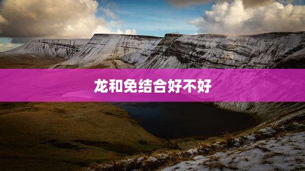 龙和免结合好不好