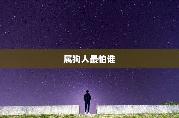 属狗人最怕谁