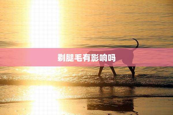 剃腿毛有影响吗