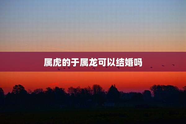 属虎的于属龙可以结婚吗