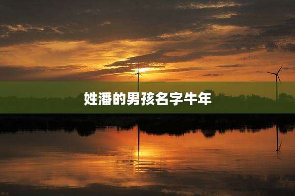 姓潘的男孩名字牛年