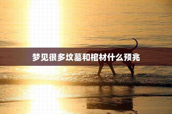 梦见很多坟墓和棺材什么预兆