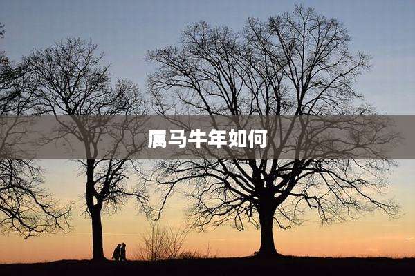 属马牛年如何