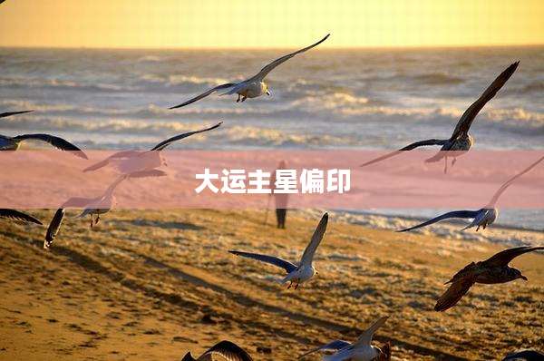 大运主星偏印