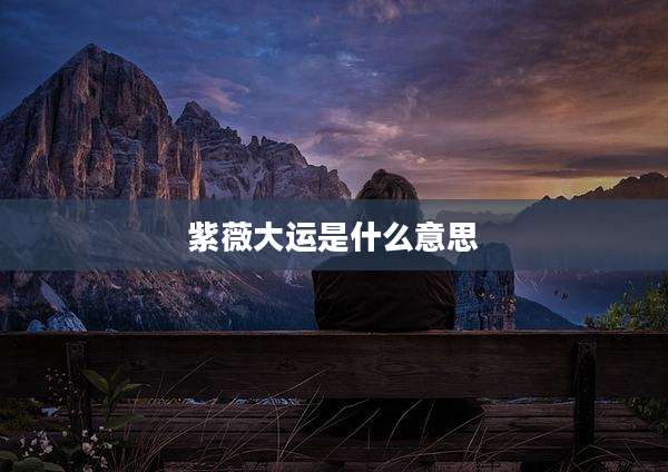 紫薇大运是什么意思