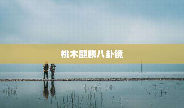 桃木麒麟八卦镜