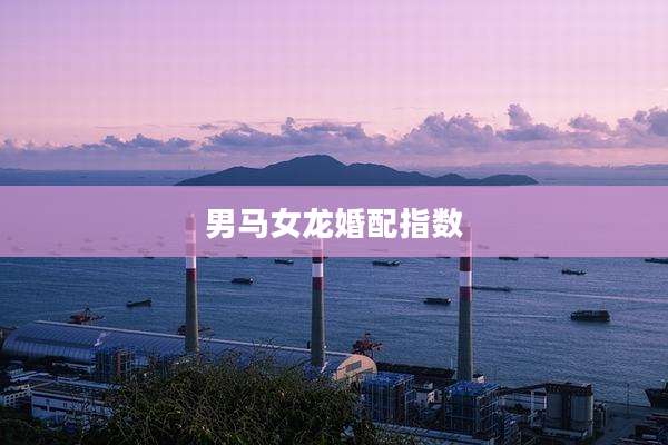 男马女龙婚配指数