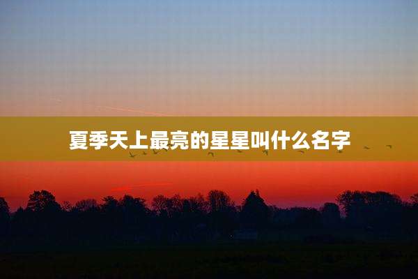 夏季天上最亮的星星叫什么名字